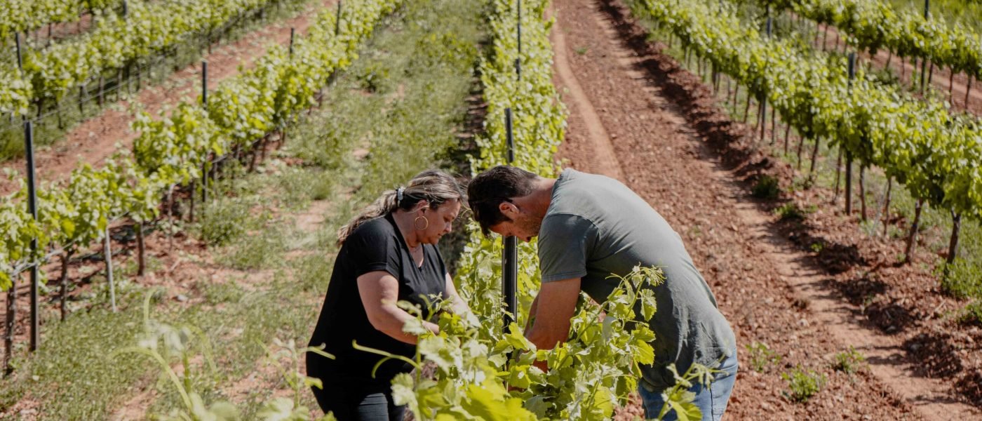 GABOR CELLER - 2024.05.29-11